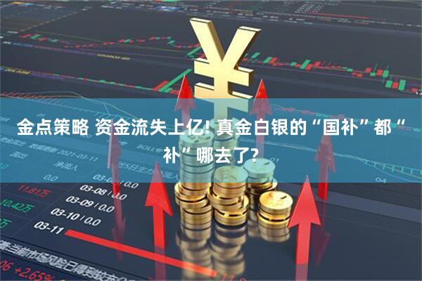 金点策略 资金流失上亿! 真金白银的“国补”都“补”哪去了?