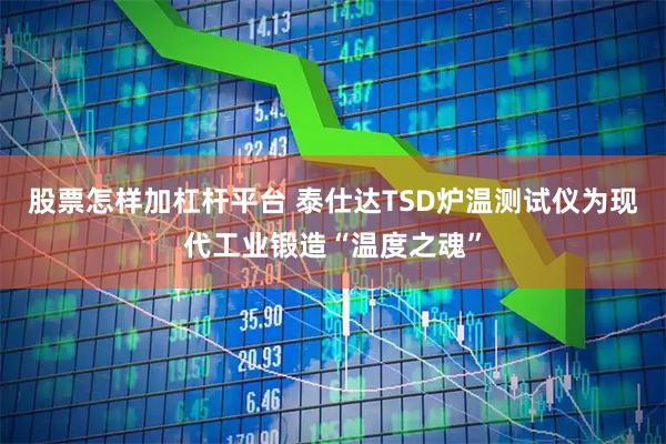 股票怎样加杠杆平台 泰仕达TSD炉温测试仪为现代工业锻造“温度之魂”