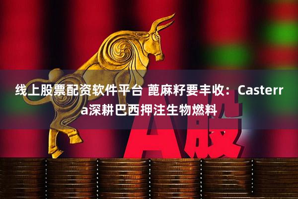 线上股票配资软件平台 蓖麻籽要丰收：Casterra深耕巴西押注生物燃料